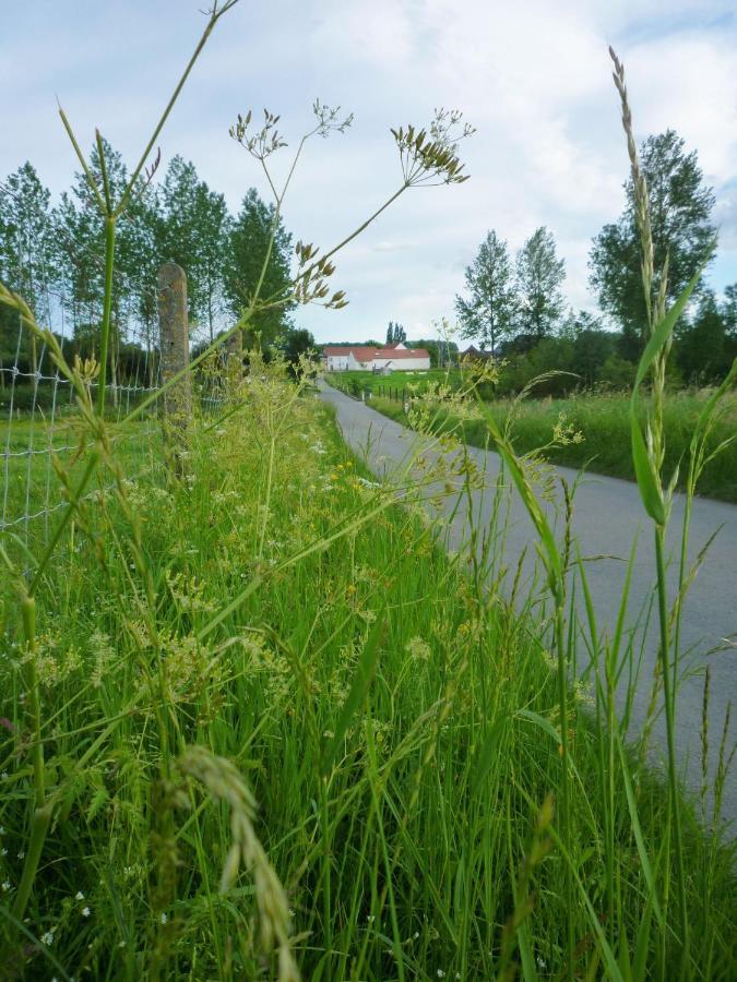 Het Verblijf Sint-Martens-Lennik 外观 照片